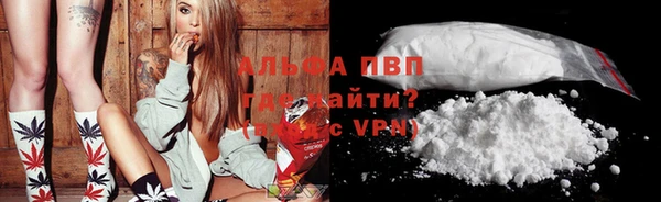 стаф Володарск
