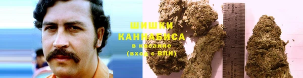 PSILOCYBIN Волоколамск
