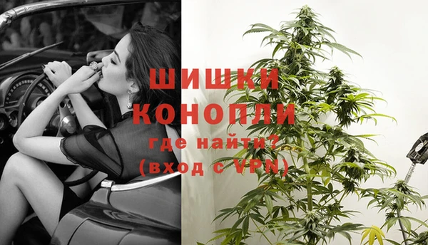 стаф Володарск