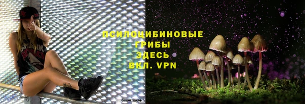 прущая мука Саяногорск