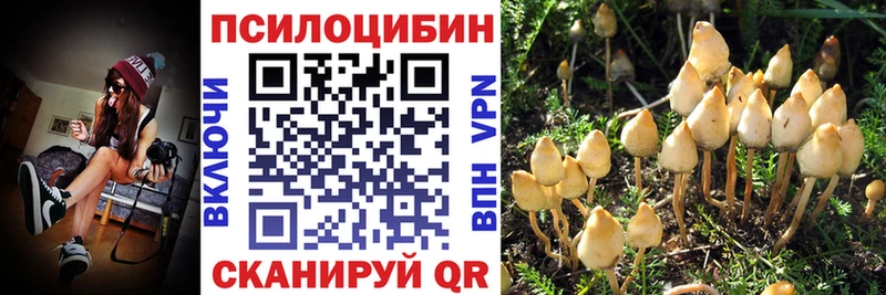 Галлюциногенные грибы MAGIC MUSHROOMS  Оха 